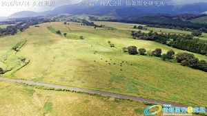 絶景の久住高原 ドローンで空撮4K写真 20160714 vol.4を公開Aerial in drone the Kuju kogen /Kuju Plateau. 4K Photography